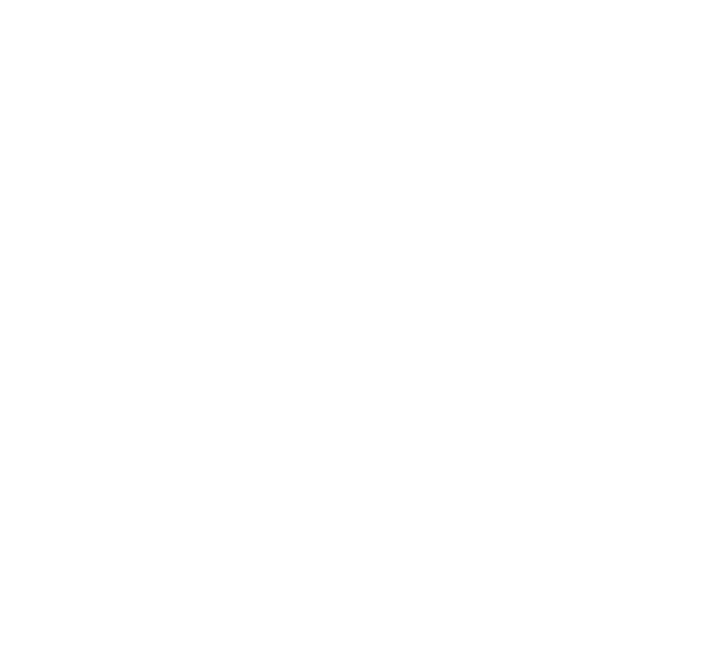 brnoparties